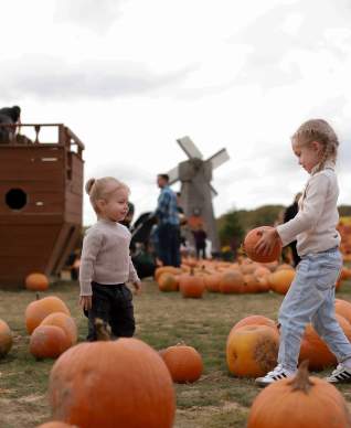 Pumpkin Picking