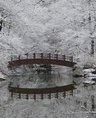Old Westbury Gardens