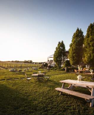 picnic-tables-at-winery