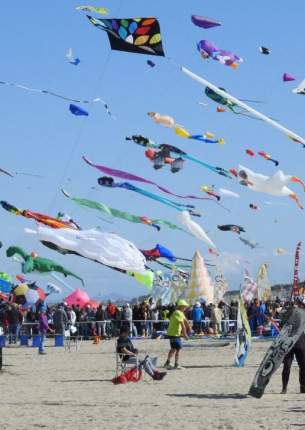 Kite Festival