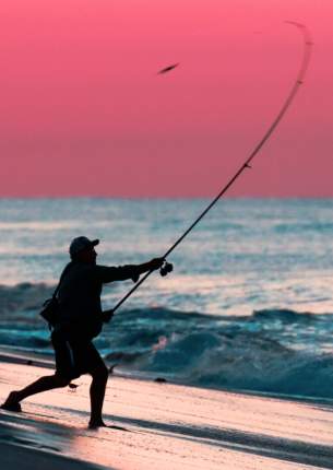 Fishing at park