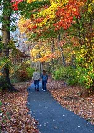 fall-trail-long-island-trip