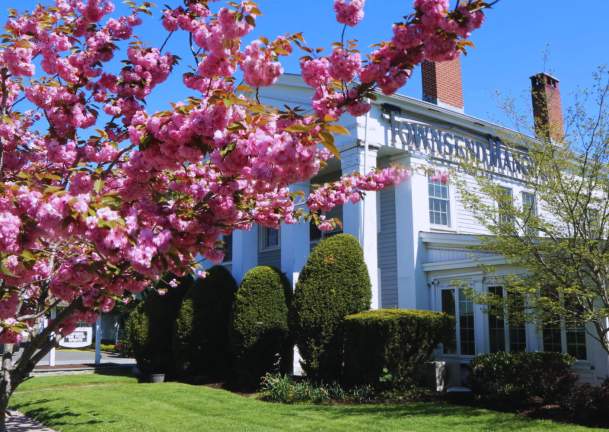 Dust Off the Winter Blues: Your LI Spring Bucket List