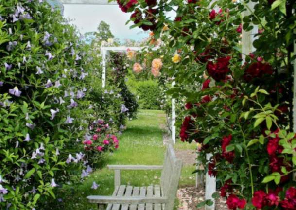bridge-gardens