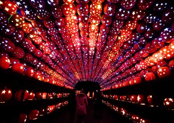 Great Jack O'Lantern Blaze