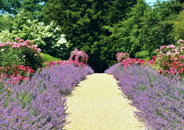 Bridgette-Kistinger-Planting-Fields