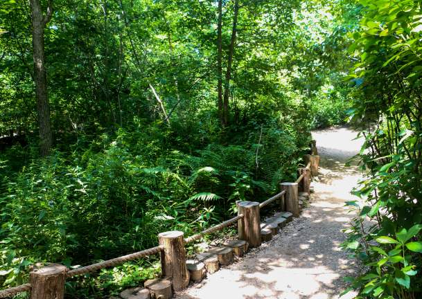 Best Hiking Trails on Long Island
