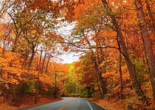 Your LI Fall Bucket List