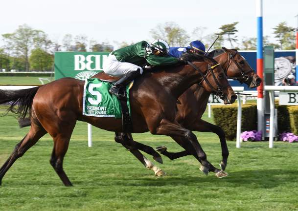 South Shore  Attractions  Belmont Stakes  A Lot.jpg