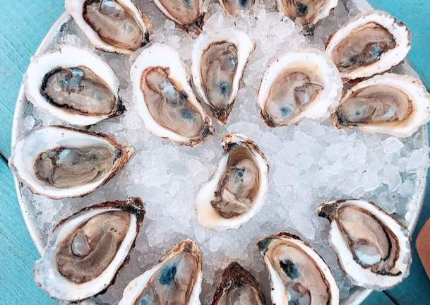 oysters