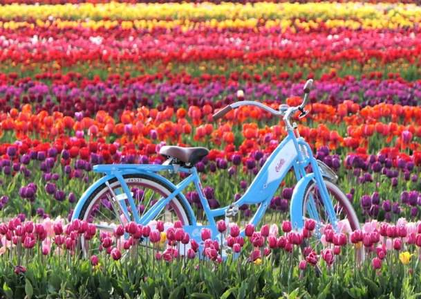 Spend Spring Break on Long Island, NY