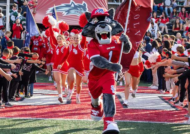 Wolfie the Seawolf