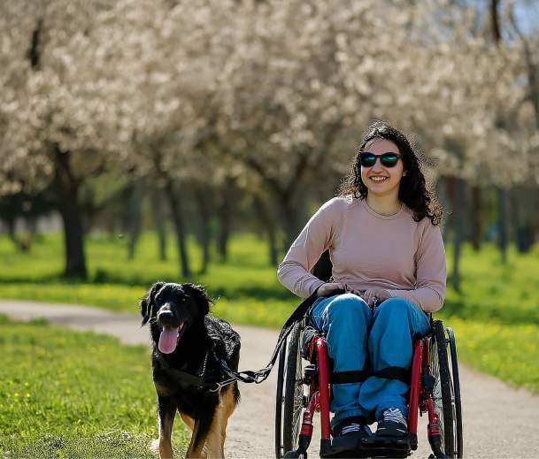 Accessibility