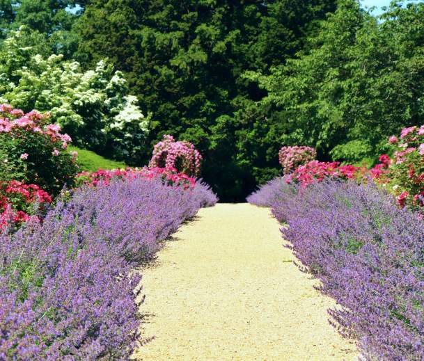 Bridgette-Kistinger-Planting-Fields