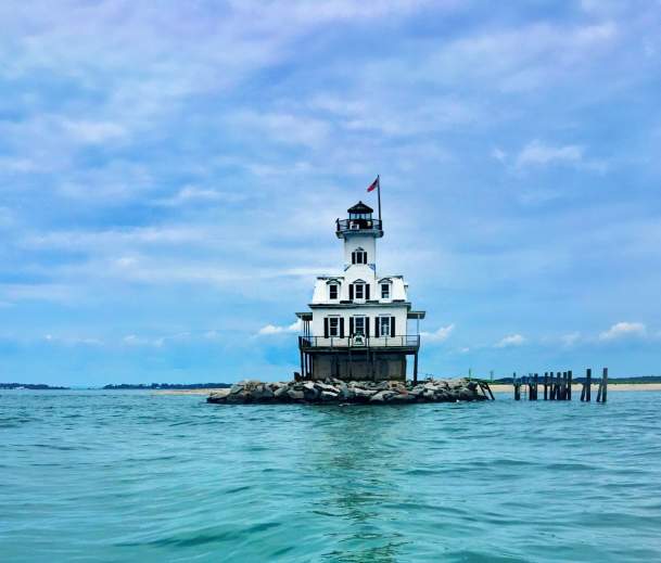 Bug Lighthouse