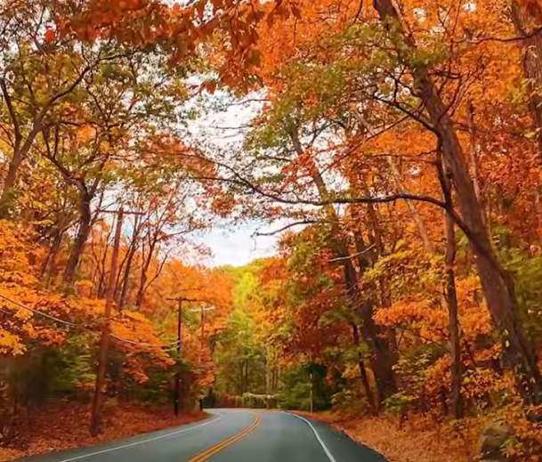 Your LI Fall Bucket List