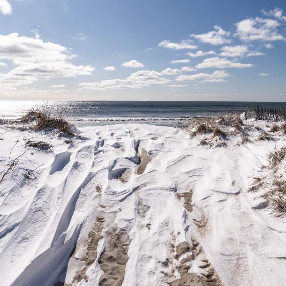 Fresh Snow, Fresh Air: Long Island Spots Perfect for a Winter Walk