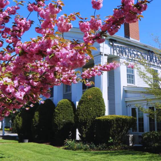 Dust Off the Winter Blues: Your LI Spring Bucket List