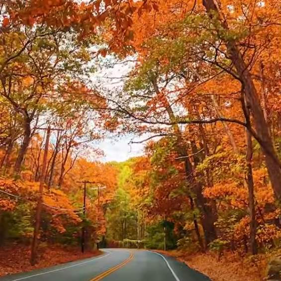 Your LI Fall Bucket List