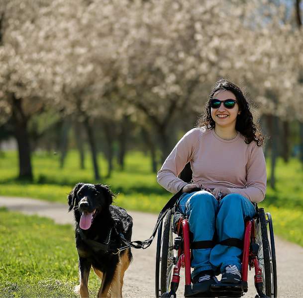 Accessibility