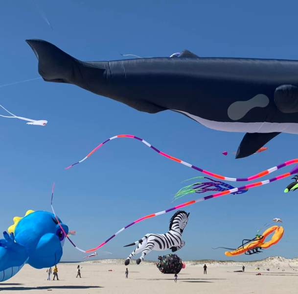 Kite Festival