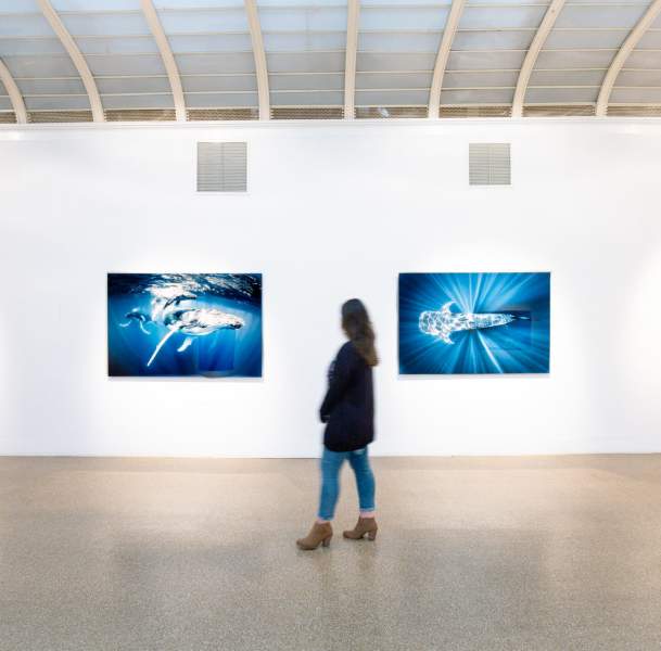 Art Gallery