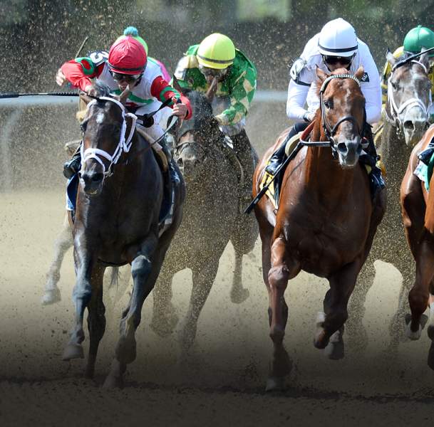 South Shore  Attractions  Belmont Stakes  Bel16_Hero1_1556x800_2.jpg