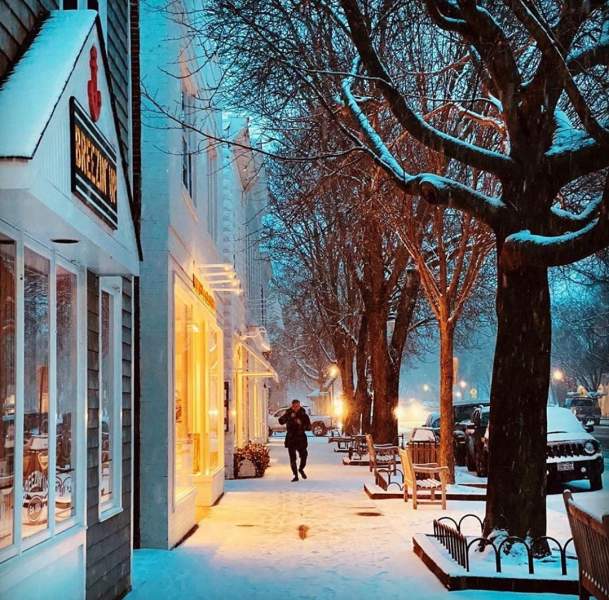 Hamptons Winter