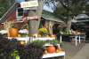 North Fork  Attractions  Farms and Farm Stands  2015older 1.jpg