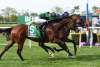 South Shore  Attractions  Belmont Stakes  A Lot.jpg
