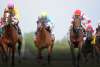 South Shore  Attractions  Belmont Stakes  Bel16_Hero1_1556x800_1.jpg