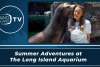 Summer Adventures at The Long Island Aquarium