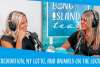 LI Tea Podcast: Accreditation, NY Lotto, and Animals on the loose