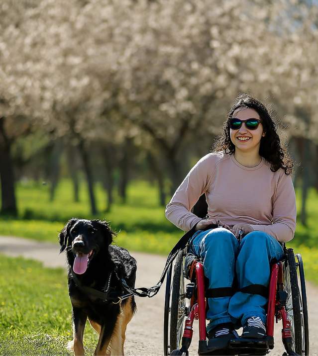 Accessibility