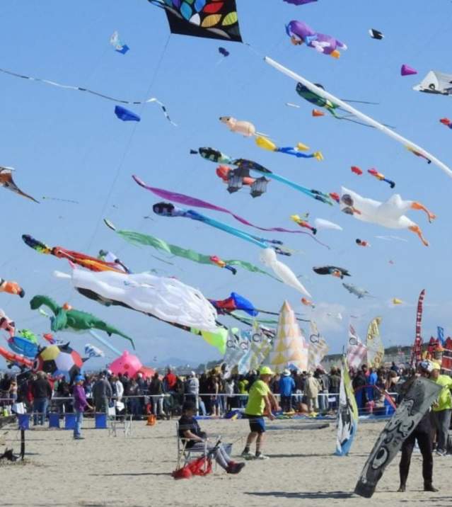 Kite Festival