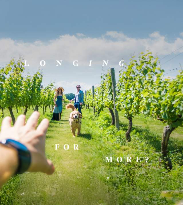 Scandinavia Looking for More