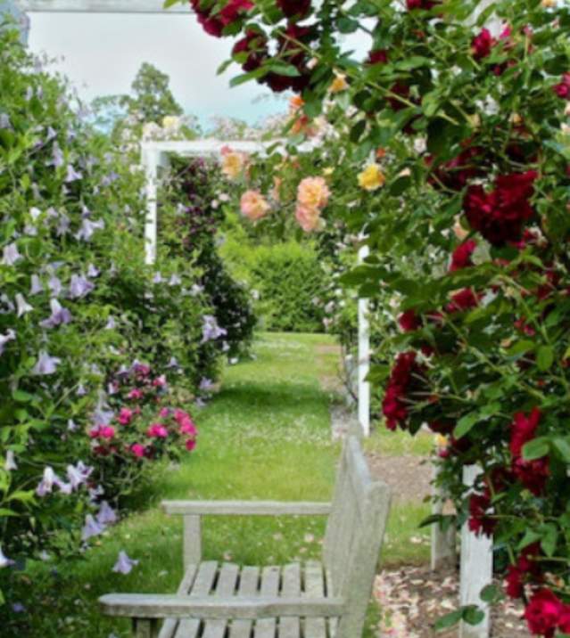 bridge-gardens