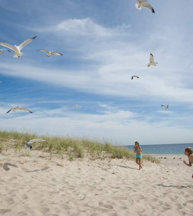 Coopers Beach