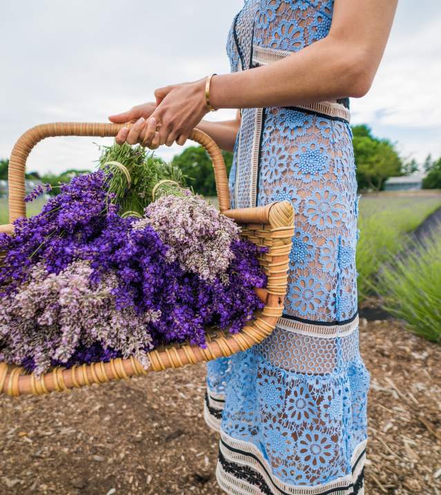 basket of lavender