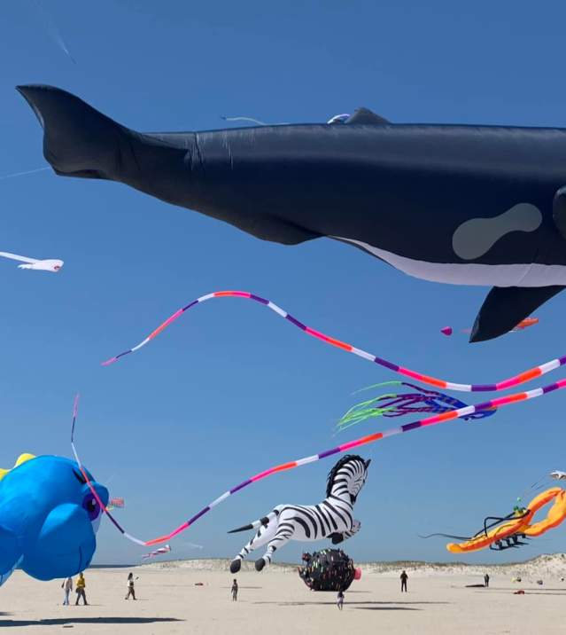 Kite Festival