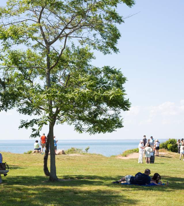 Kontokosta Winery