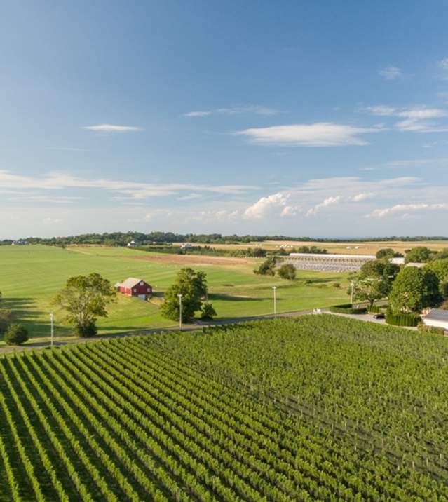Wine Country Aerial