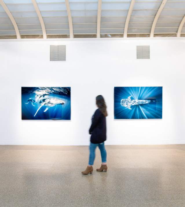 Art Gallery