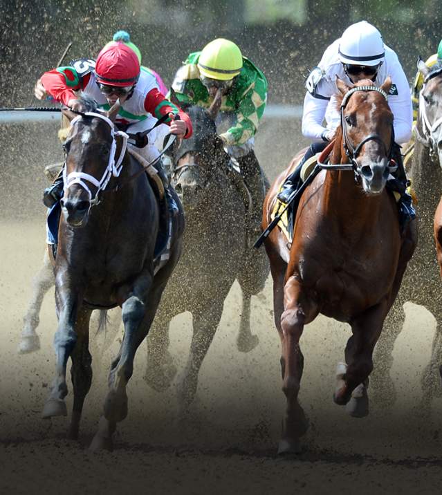 South Shore  Attractions  Belmont Stakes  Bel16_Hero1_1556x800_2.jpg