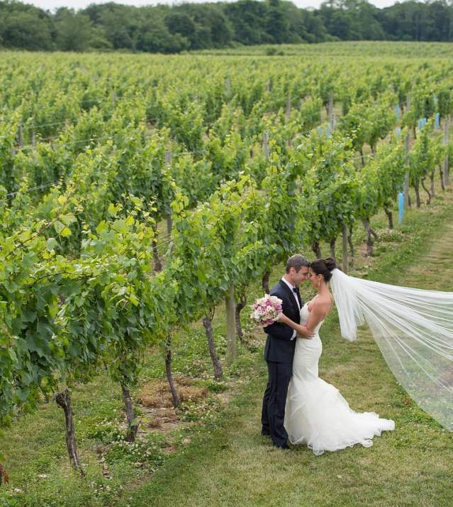 vineyard wedding bride & groom