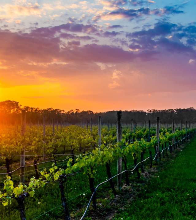 Wineries in riverhead ny outlet