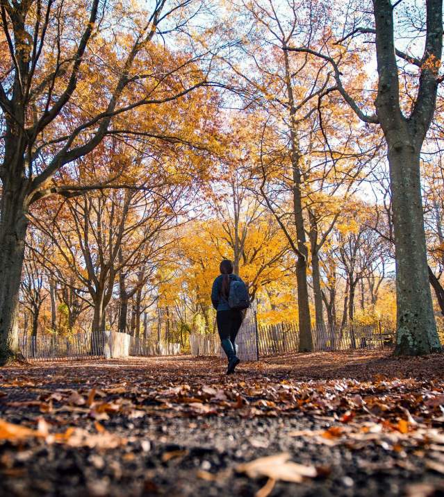 Fall
