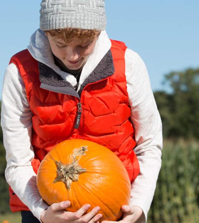 Fall