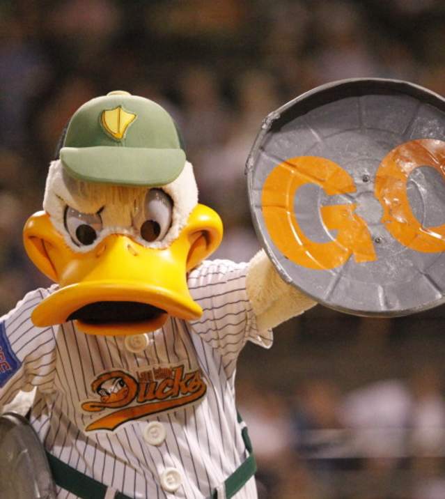 Long Island Ducks Quackerjack