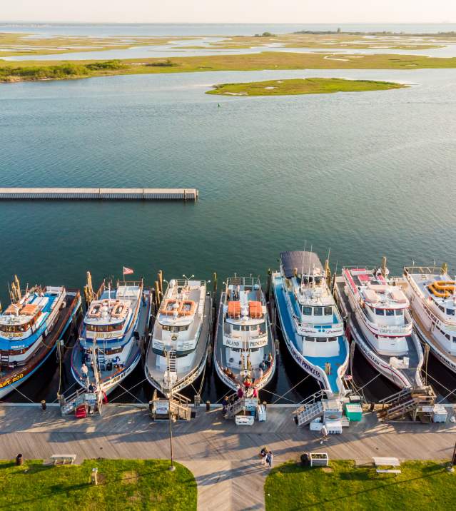 boats in a marina dock